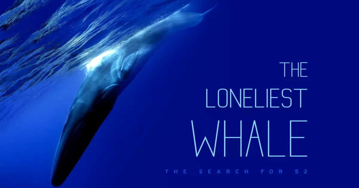 The Loneliest Whale: The Search for 52