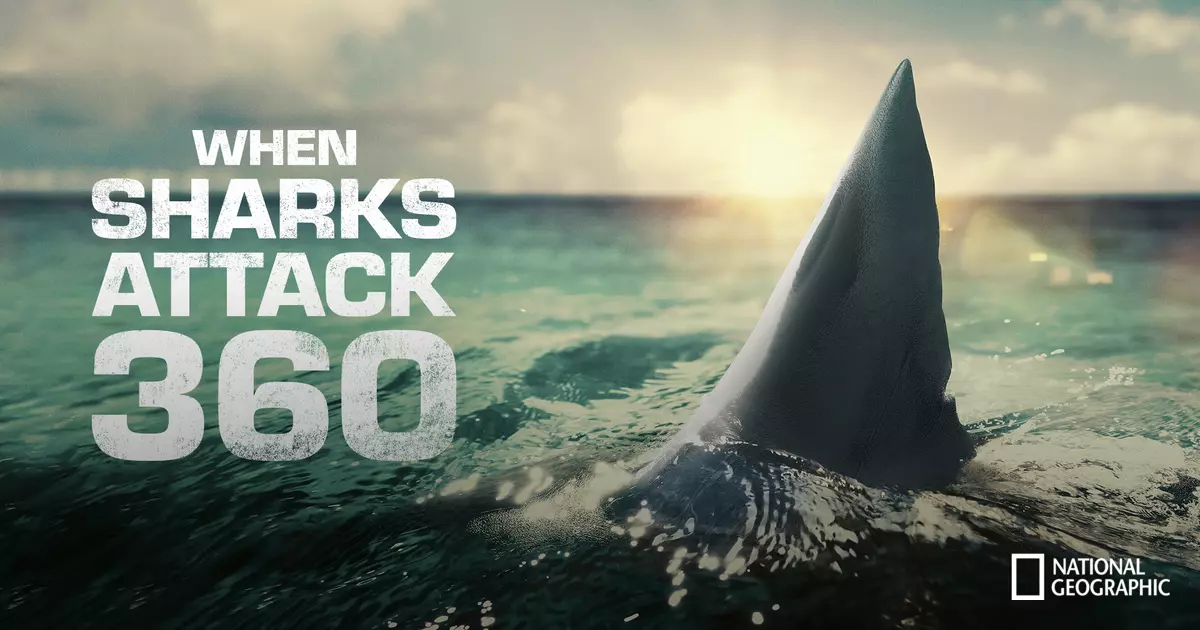 When Sharks Attack 360