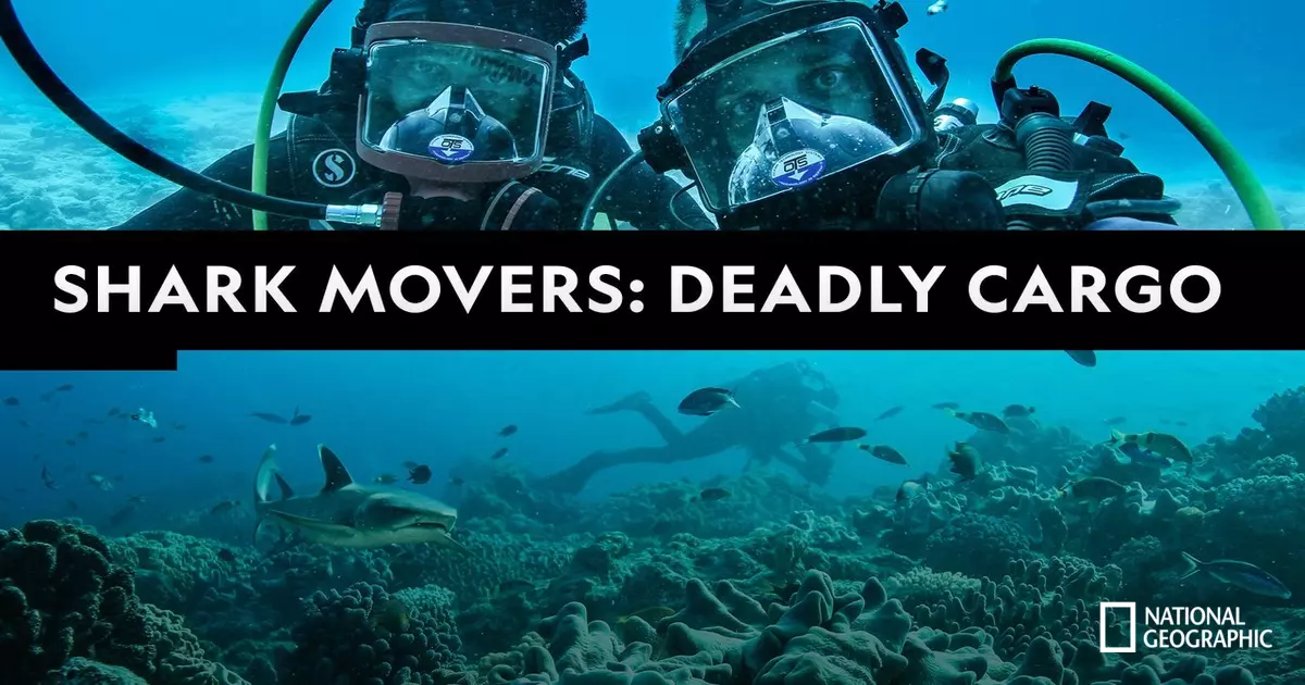 Shark Movers: Deadly Cargo