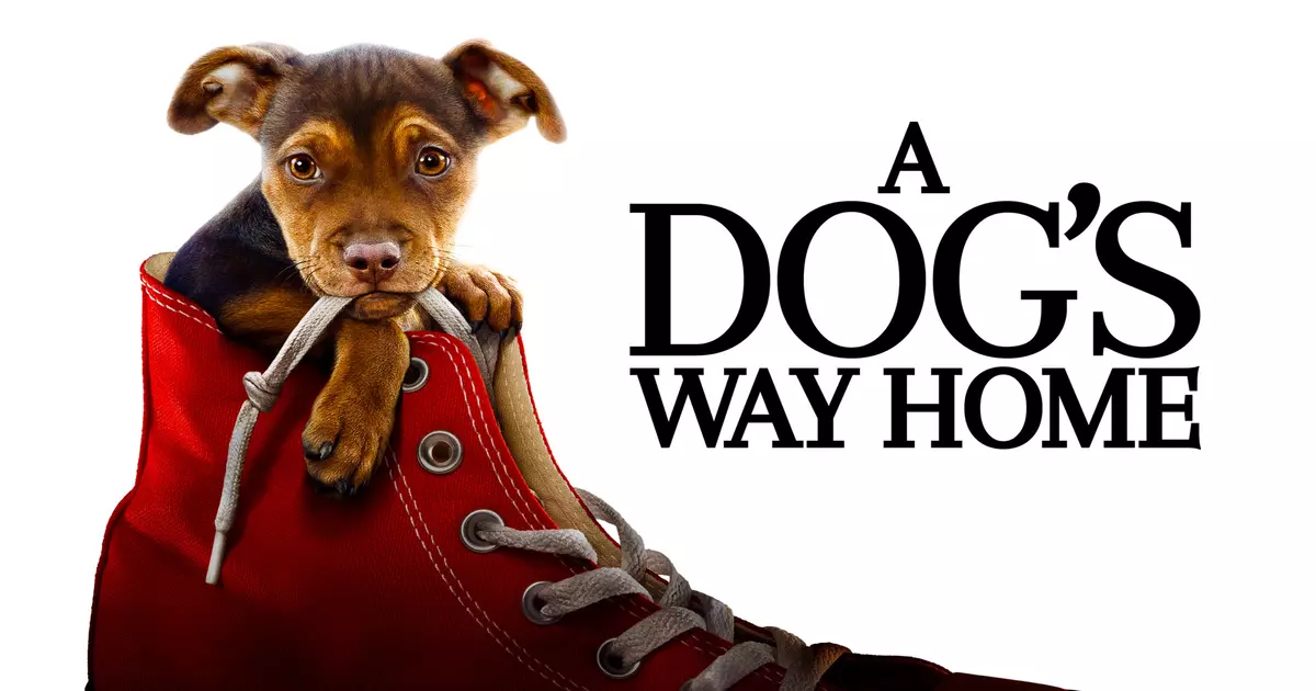 A Dog's Way Home