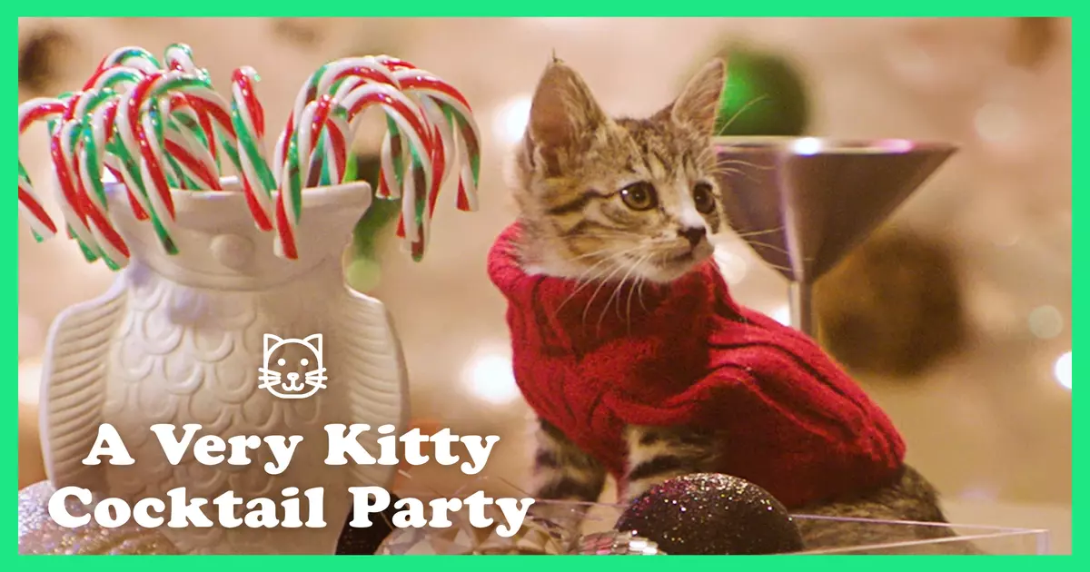 A Very Kitty Cocktail Party