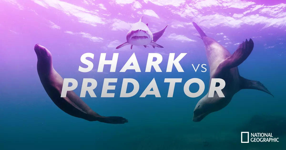 Shark vs. Predator