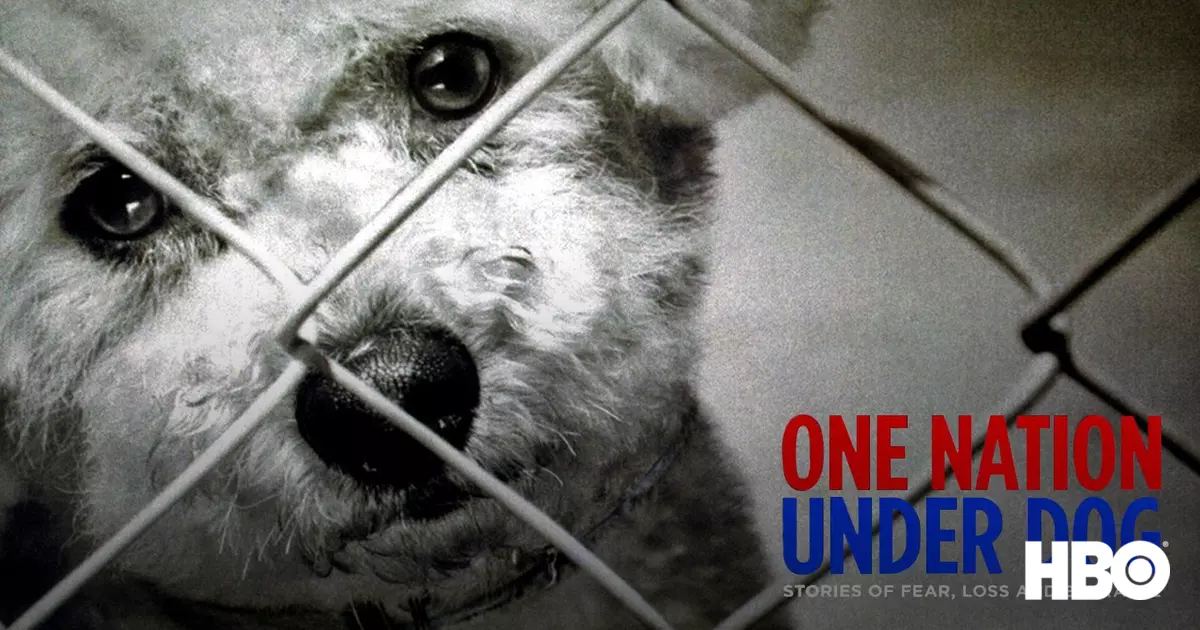One Nation Under Dog: Stories of Fear, Loss & Betrayal