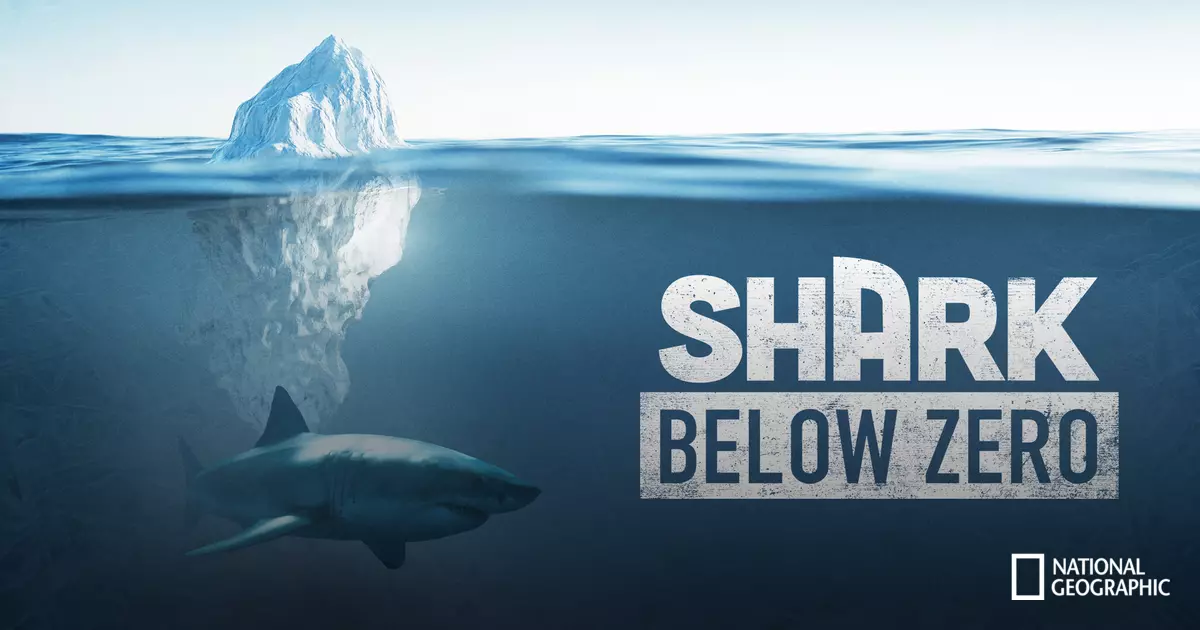 Shark Below Zero