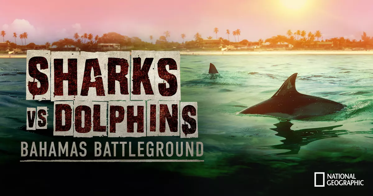 Sharks vs. Dolphins: Bahamas Battleground