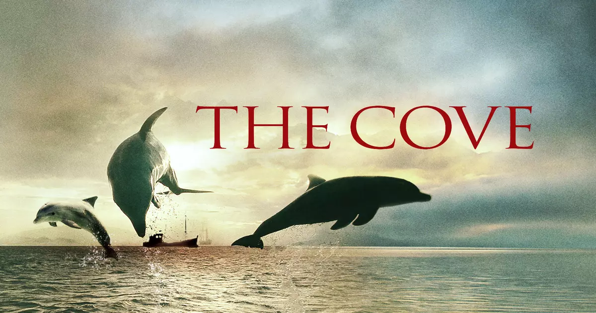 The Cove